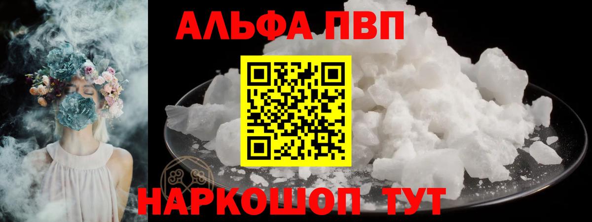 Альфа ПВП СК Чита