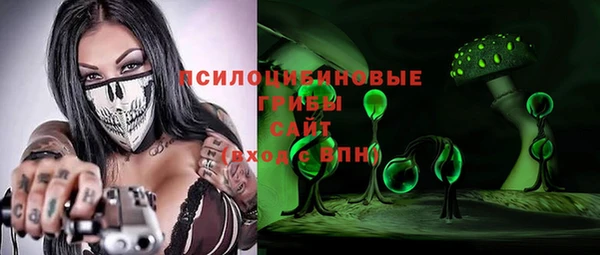 дурь Снежногорск