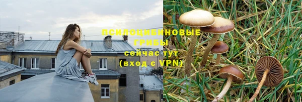 первитин Слюдянка