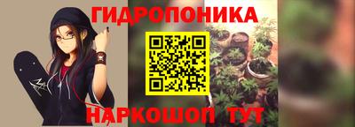 скорость Берёзовский