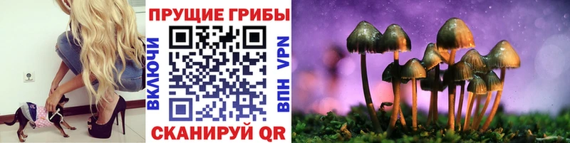 Псилоцибиновые грибы MAGIC MUSHROOMS Чита