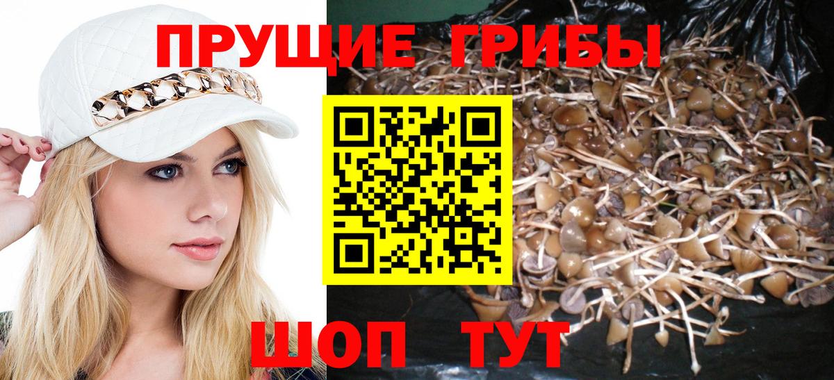 хочу наркоту  Галлюциногенные грибы MAGIC MUSHROOMS  Чита  Псилоцибиновые грибы мухоморы 