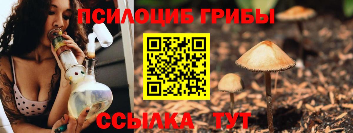 Псилоцибиновые грибы MAGIC MUSHROOMS Чита